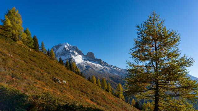 Mountain snowcapped trail autumn nature free wallpaper for desktop - medium preview image