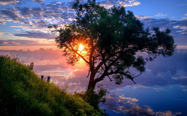 Hill sunset tree clouds beach free wallpaper for desktop - medium preview image