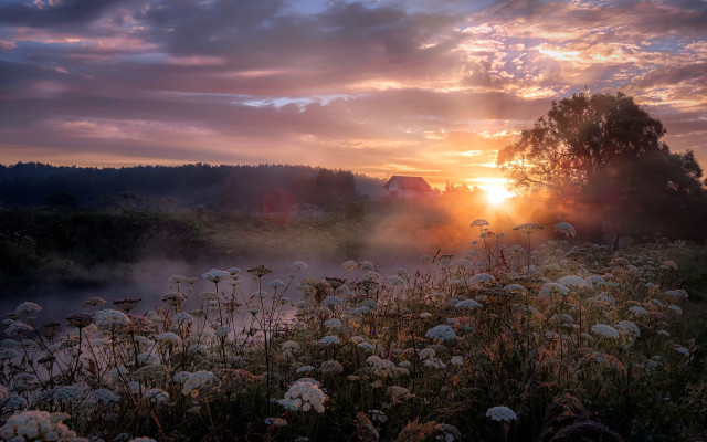 Flower field sunset clouds house free wallpaper for desktop - medium preview image
