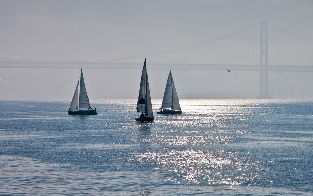 Sailboats bridge bird polarizing impressionist free wallpaper for desktop - medium preview image