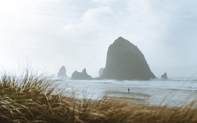 Beach rock formation tiltshift portrait free wallpaper for desktop - medium preview image