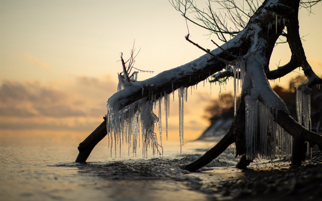 Ice covered branch lake sunset free wallpaper for desktop - medium preview image