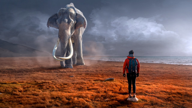 Man elephantstatue field cloudy sunset free wallpaper for desktop - medium preview image