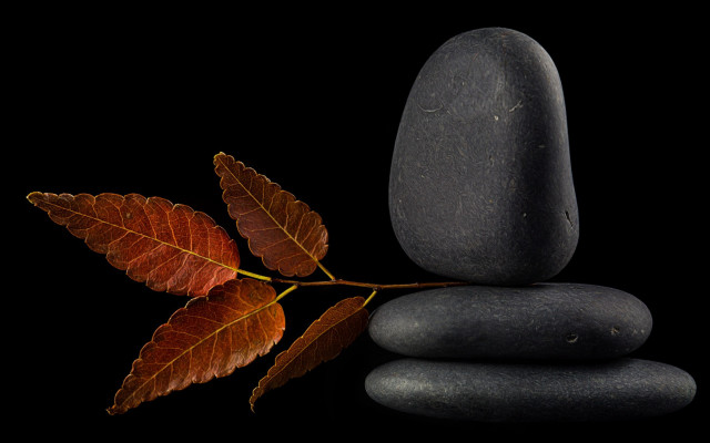 Leaf rocks reflection minimalism 3D free wallpaper for desktop - medium preview image