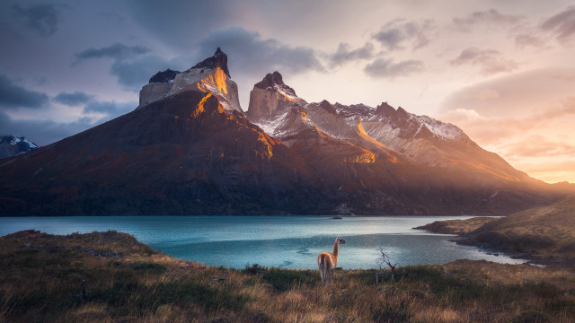 Llama lake mountains sunset clouds free wallpaper for desktop - medium preview image