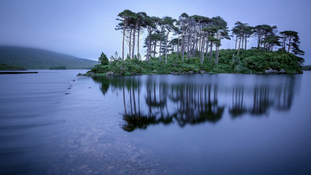 Lake foggy island reflection starry free wallpaper for desktop - medium preview image