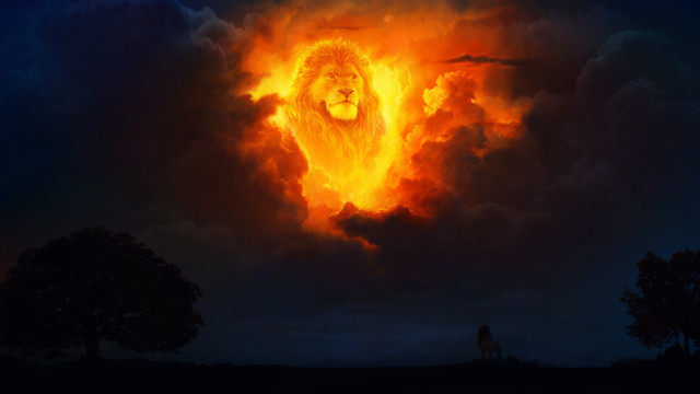 Lion cloud sky trees person free wallpaper for desktop - medium preview image