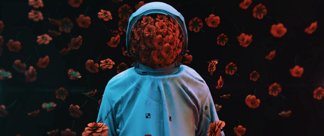 Blue raincoat red flowers blood free wallpaper for desktop - medium preview image