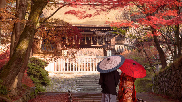 Fall umbrella path japanese architecture free wallpaper for desktop - medium preview image