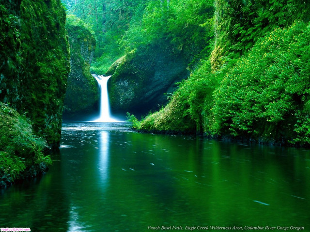 Waterfall green forest stream nature #4 free wallpaper for desktop - medium preview image