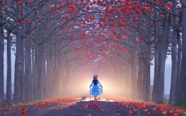 Woman blue dress autumn leaves free wallpaper for desktop - medium preview image