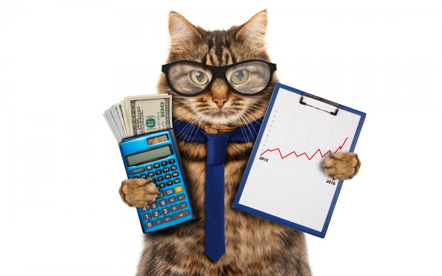 Cat glasses clipboard calculator graph free wallpaper for desktop - medium preview image