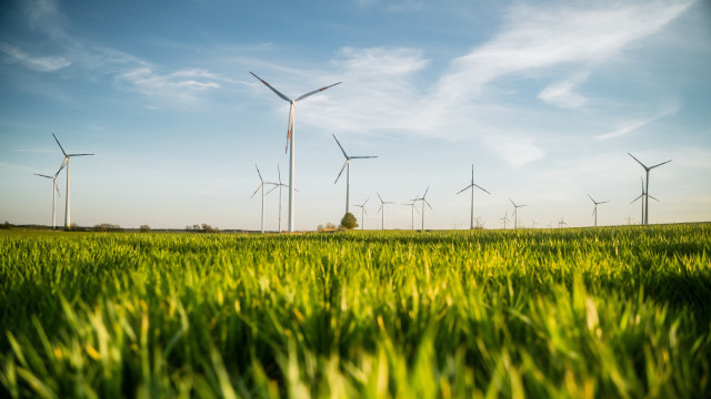 Green grass wind turbines clouds free wallpaper for desktop - medium preview image