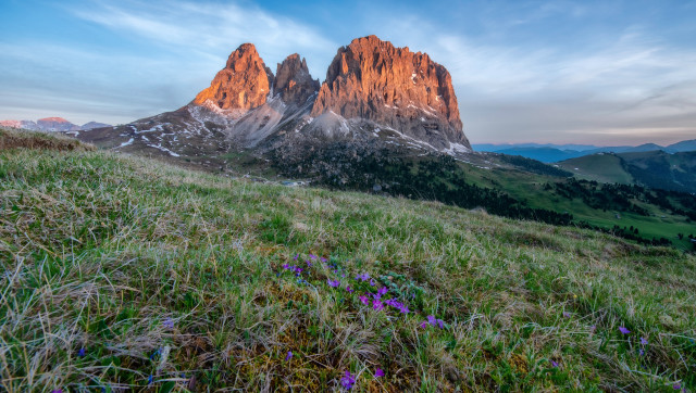 Grassy field flowers mountains sunset free wallpaper for desktop - medium preview image