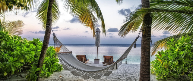Hammock palm trees beach ocean #3 free wallpaper for desktop - medium preview image