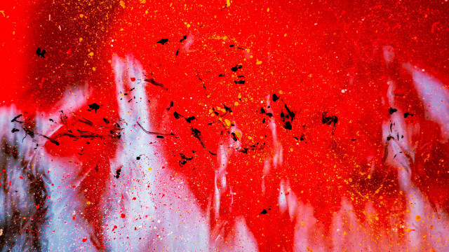 Red black bird fireworks aurora free wallpaper for desktop - medium preview image