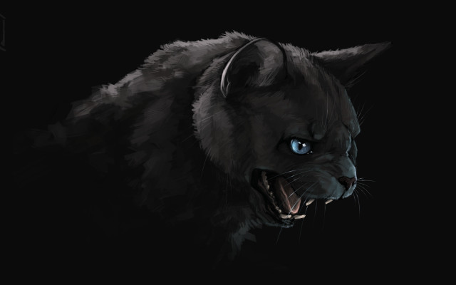 Black cat blue eyes snarling free wallpaper for desktop - medium preview image