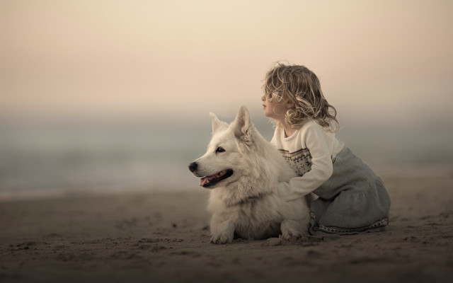 Little girl beach dog cloudy free wallpaper for desktop - medium preview image