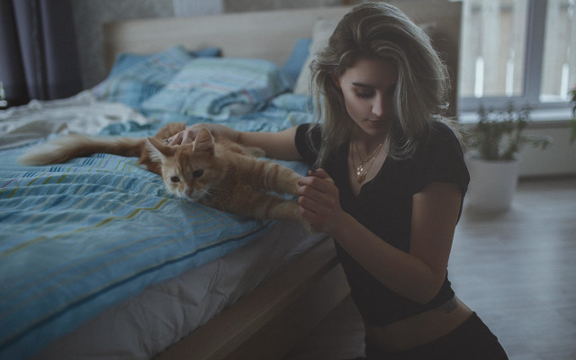 Woman petting cat bedroom blue free wallpaper for desktop - medium preview image