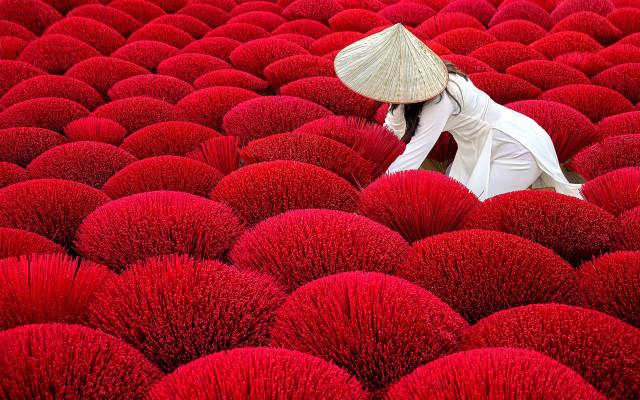 Woman straw hat red flowers free wallpaper for desktop - medium preview image