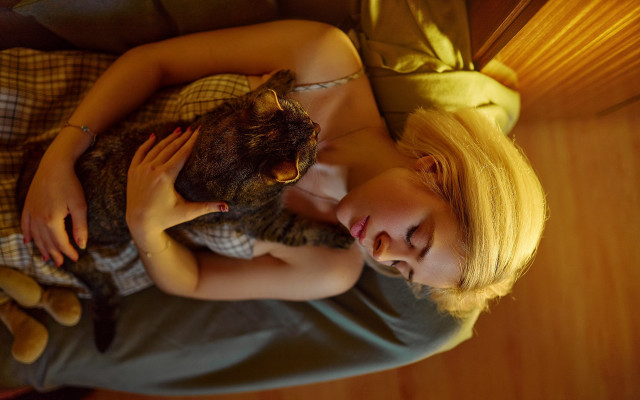 Woman bed cat teddy blonde free wallpaper for desktop - medium preview image