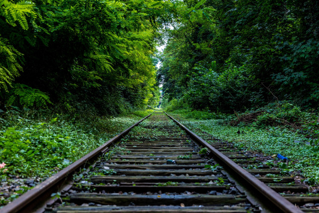 Train track trees bushes nature free wallpaper for desktop - medium preview image