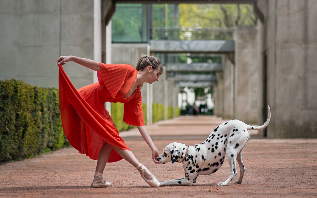 Woman red dress dalmatian outdoor free wallpaper for desktop - medium preview image