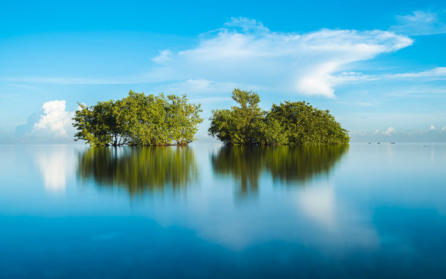 Lake trees sky clouds beach free wallpaper for desktop - medium preview image