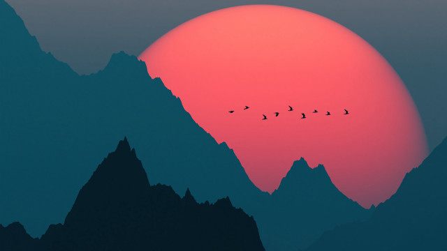 Birds mountain sunset forest moon free wallpaper for desktop - medium preview image