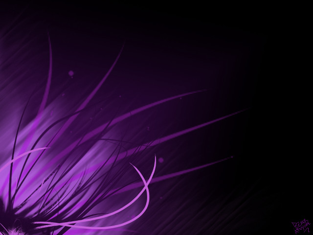 Purple flower with long petals free wallpaper for desktop - medium preview image
