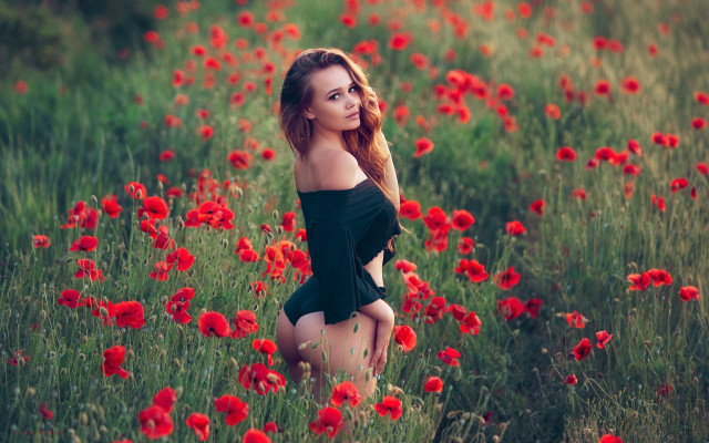 Woman flower field impressionist romanticism free wallpaper for desktop - medium preview image