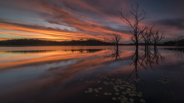 Lake trees sunset clouds leaves free wallpaper for desktop - medium preview image