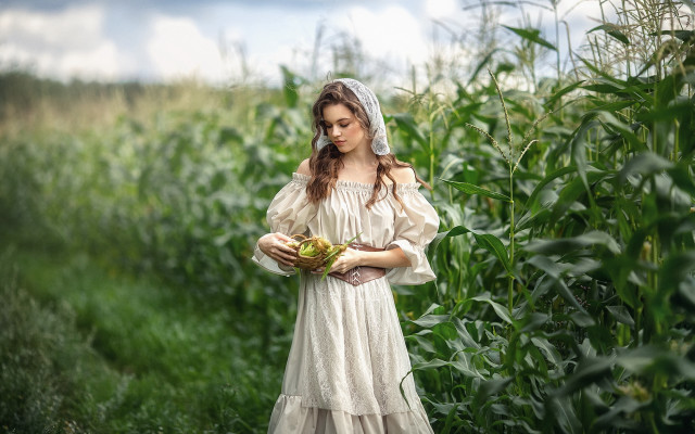 Woman white dress cornfield basket free wallpaper for desktop - medium preview image