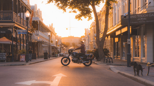 Man motorcycle dog street autumn free wallpaper for desktop - medium preview image