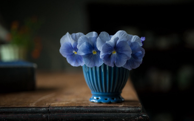 Blue vase flowers table book free wallpaper for desktop - medium preview image