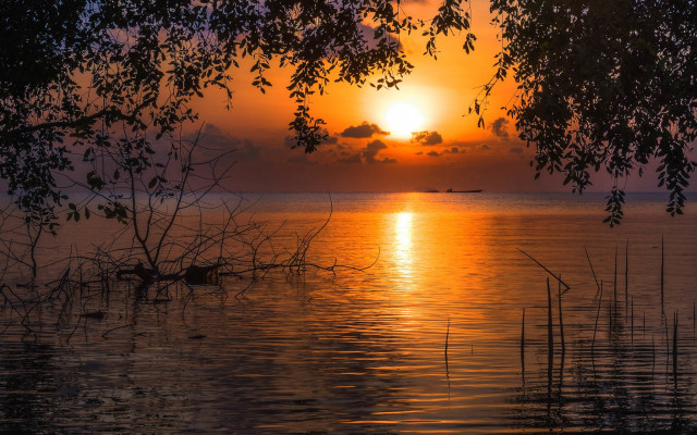 Sunset water boat trees forest free wallpaper for desktop - medium preview image