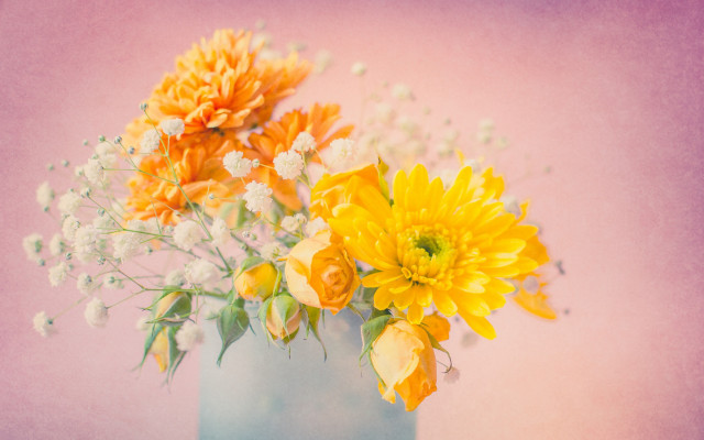 Yellow flowers vase pink wall free wallpaper for desktop - medium preview image