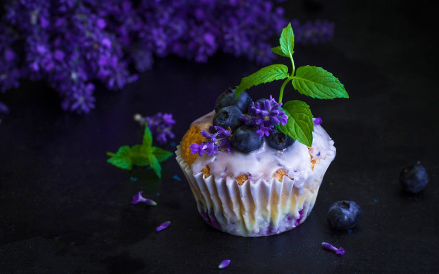 Blueberry cupcake purple flower still free wallpaper for desktop - medium preview image