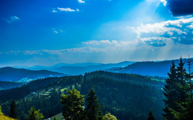 Mountain sunbeam trees forest lake free wallpaper for desktop - medium preview image