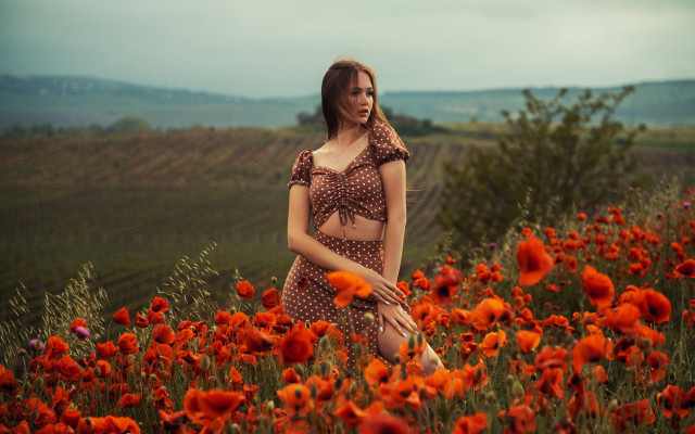 Woman polka dot bikini field free wallpaper for desktop - medium preview image