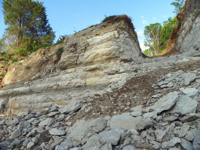 Rocky cliff tree pile mountain free wallpaper for desktop - medium preview image