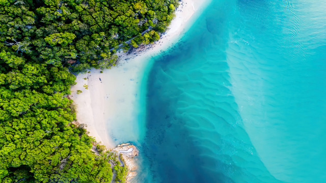 Beach forest aerial view blue free wallpaper for desktop - medium preview image