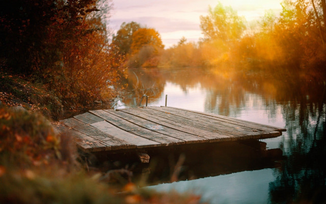 Wooden dock lake autumn leaves free wallpaper for desktop - medium preview image