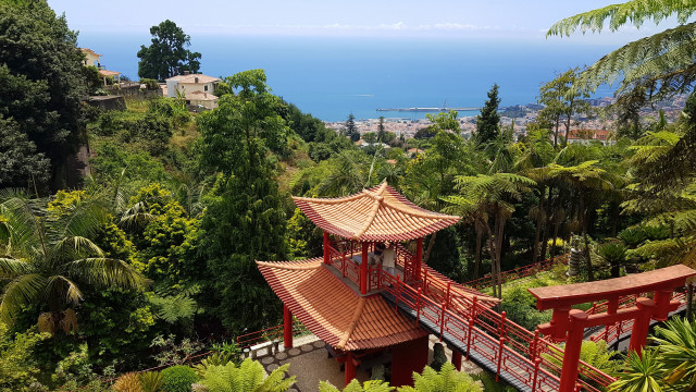 Red pagoda forest ocean bridge free wallpaper for desktop - medium preview image