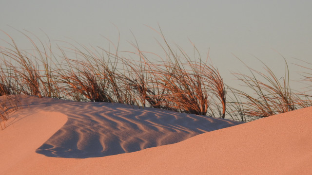Dune grass sand dunes sky free wallpaper for desktop - medium preview image