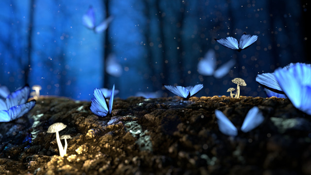 Blue butterflies forest mushrooms blue free wallpaper for desktop - medium preview image