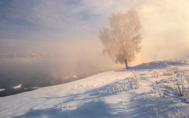 Snowy hill tree foggy sky free wallpaper for desktop - medium preview image