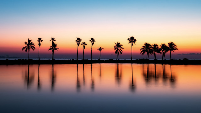 Sunset palm trees reflection orange free wallpaper for desktop - medium preview image