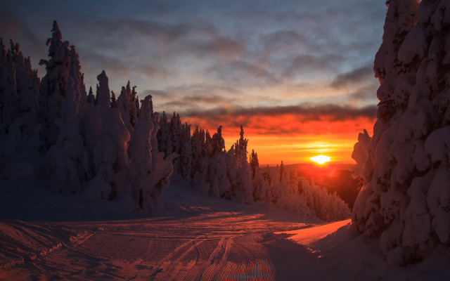 Sunset snowy road trees winter free wallpaper for desktop - medium preview image