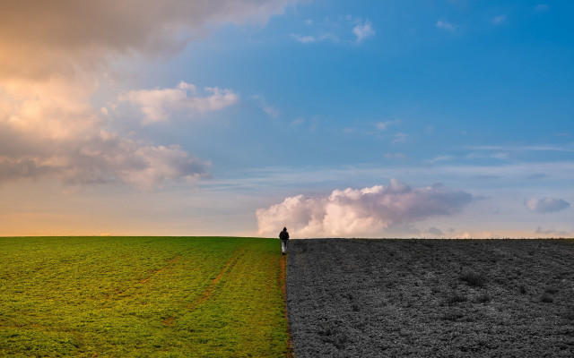 Lone person field cloud sunset free wallpaper for desktop - medium preview image